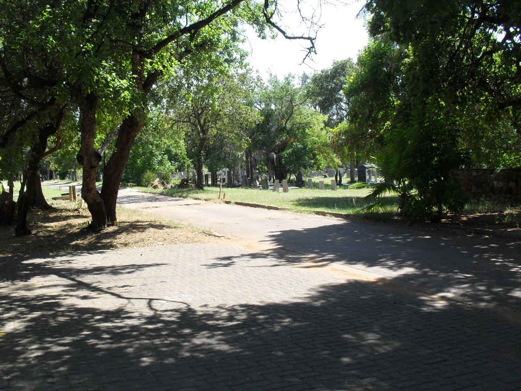 4. Overview
