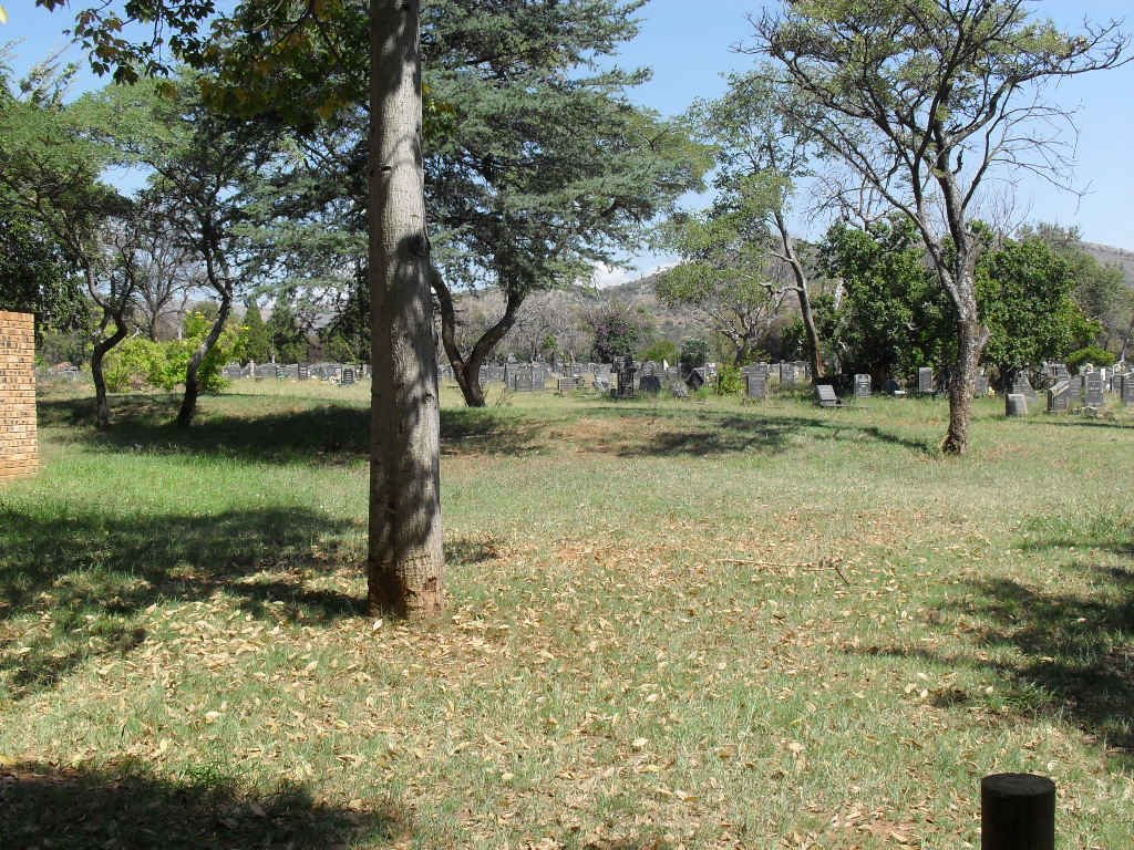 5. Overview