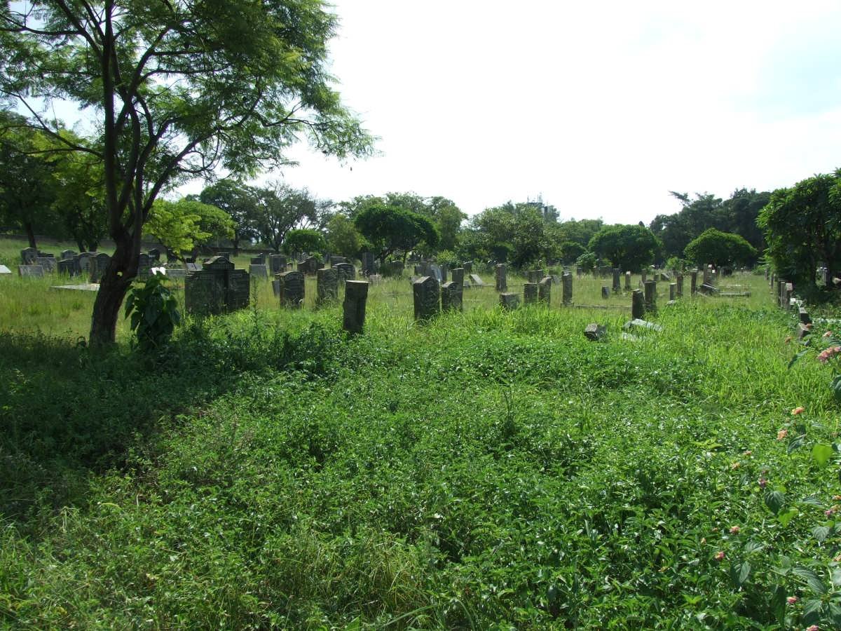 5. Overview