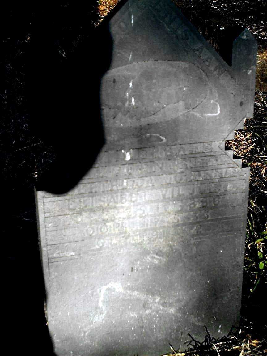 VILJOEN Elisabet 1886-1933