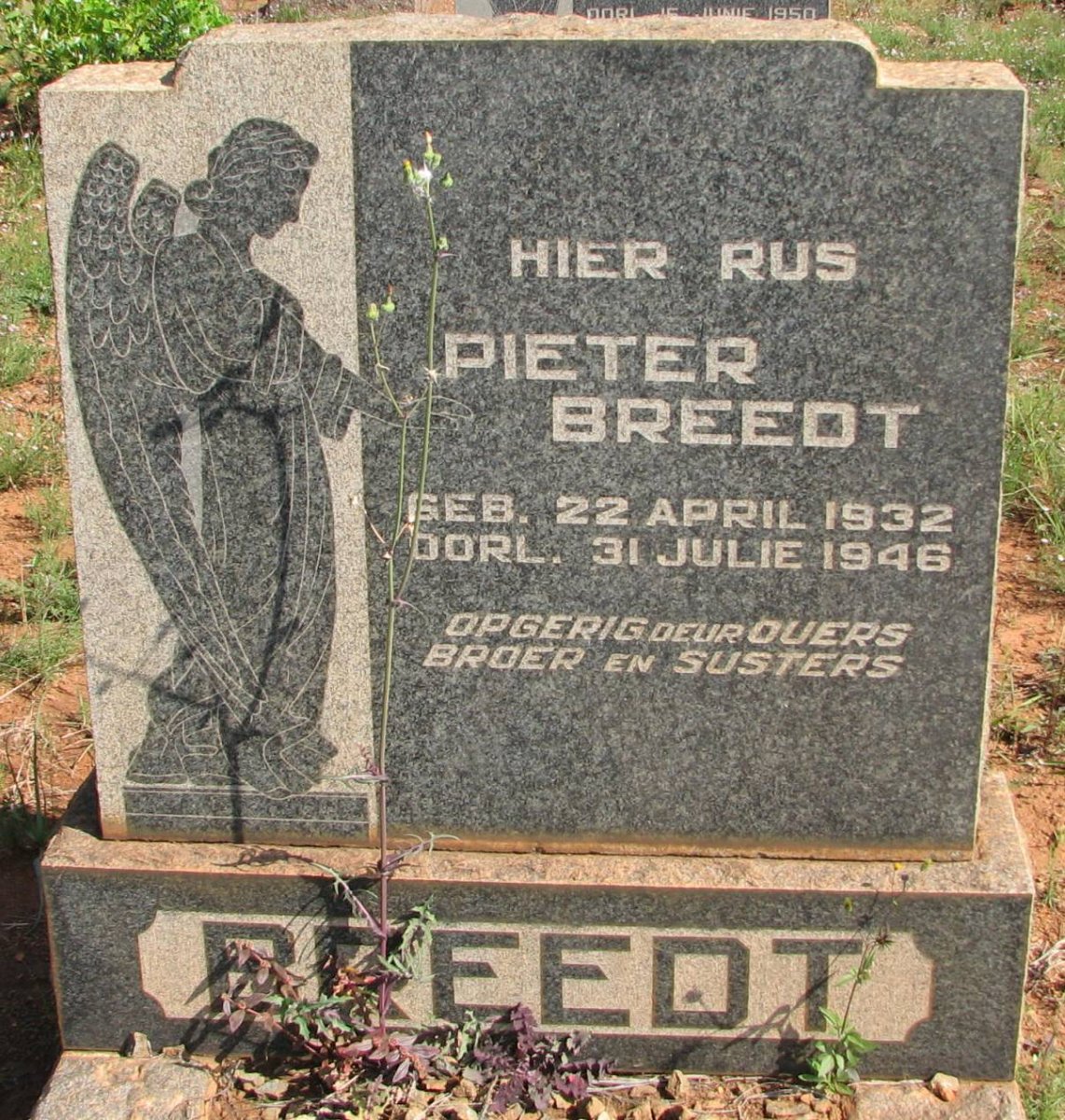 BREEDT Pieter 1932-1946