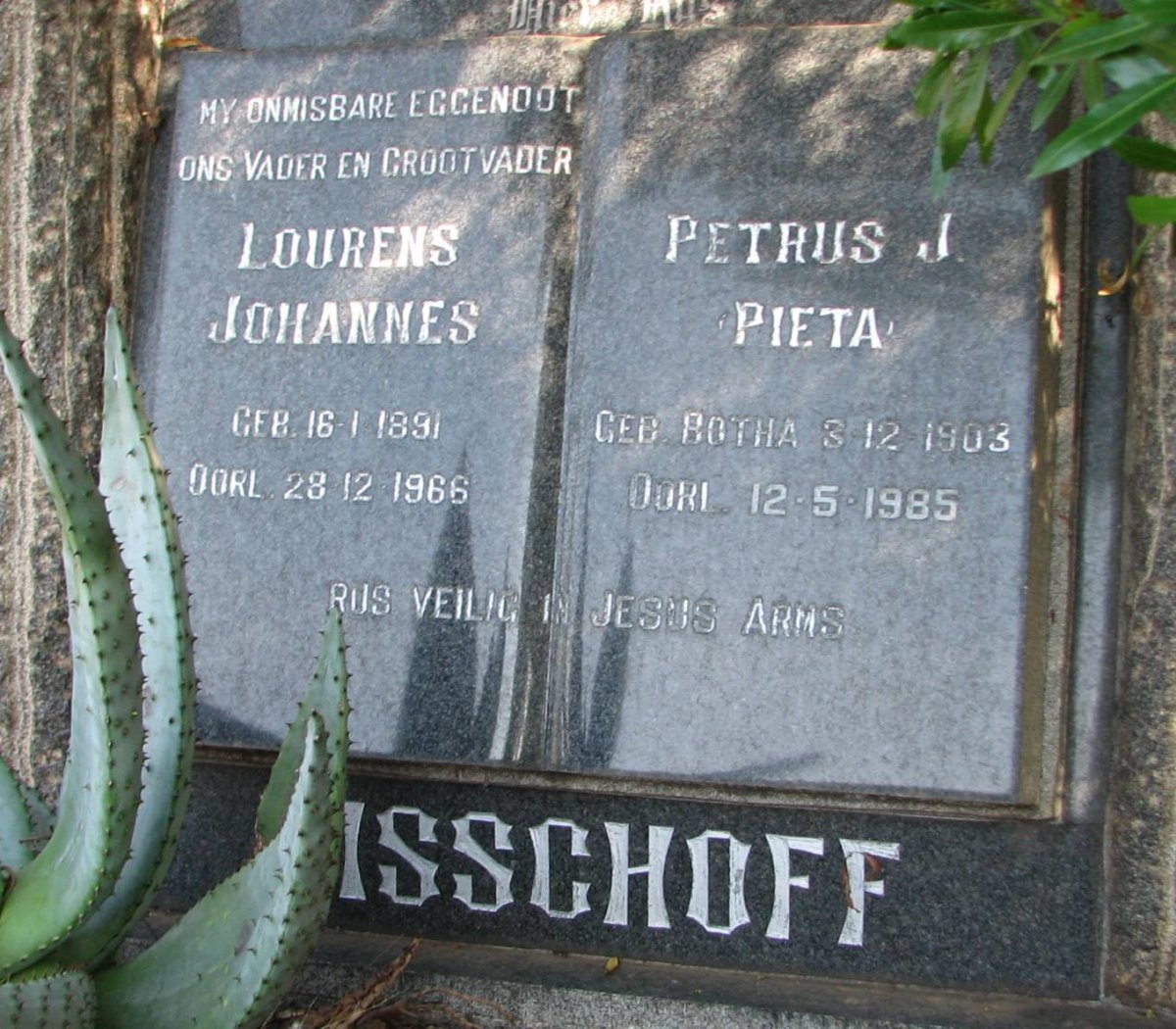 BISSCHOFF  Lourens Johannes 1891-1966 &amp; Petrus J. BOTHA 1903-1985