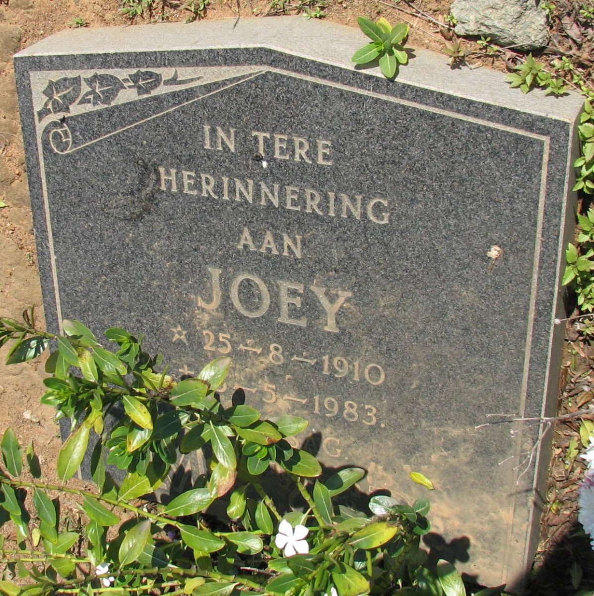 ? Joey 1922-1996