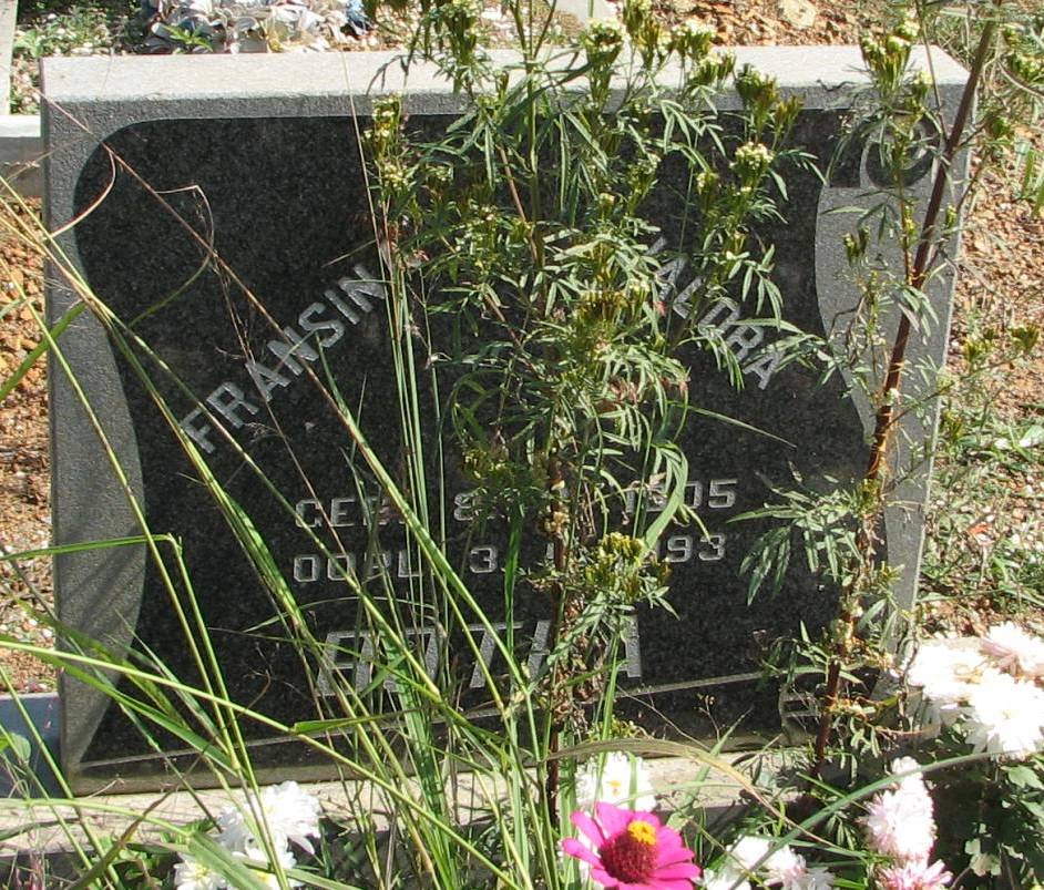 BOTHA Francina Jacoba 1905-1993