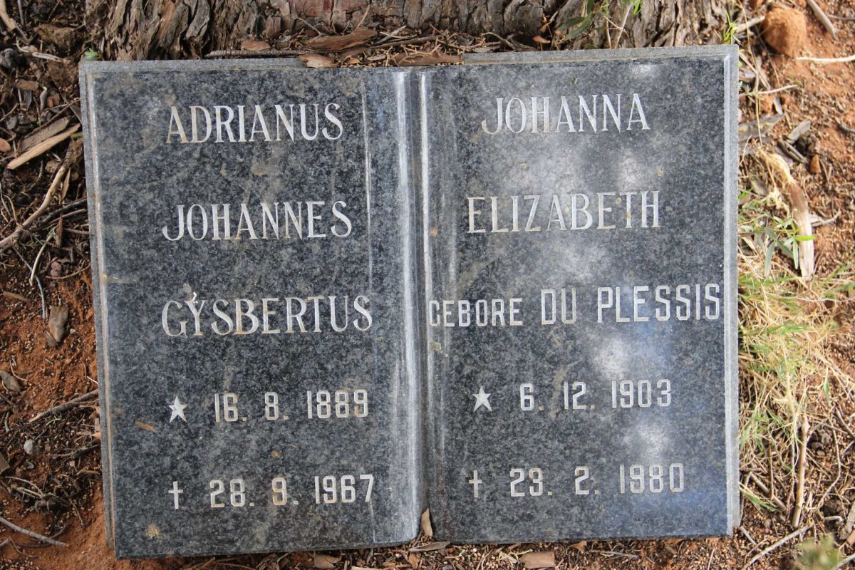 ? Adrianus Johannes Gysbertus 1889-1967 &amp; Johanna Elizabeth DU PLESSIS 1903-1980