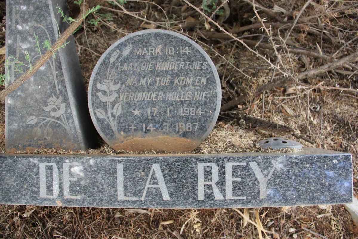 REY Dirkie, de la 1984-1987