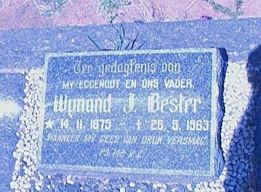 BESTER Wynand J. 1975-1963