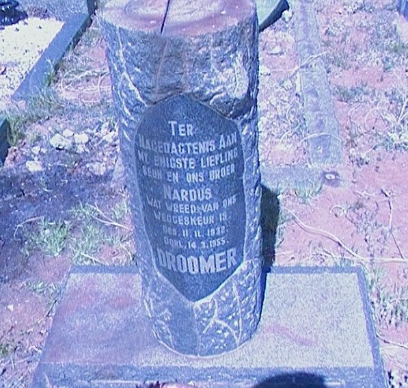 DROOMER Nardus 1932-1955