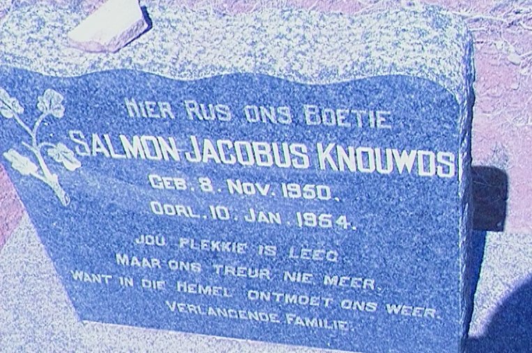 KNOUWDS Salmon Jacobus 1950-1954