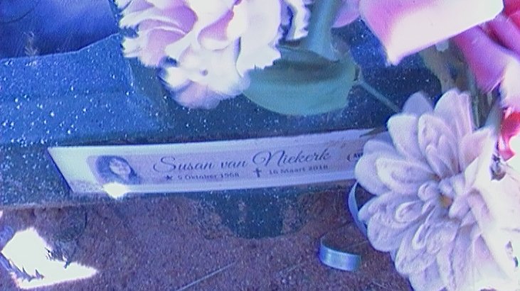 NIEKERK Susan, van 1968-2018