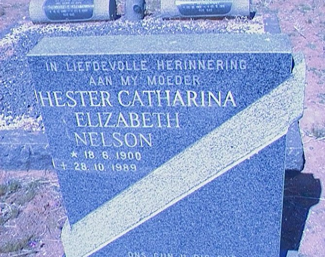 NELSON Hester Catharina Elizabeth 1900-1989