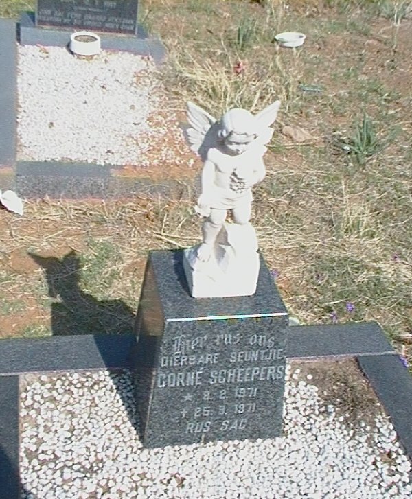 SCHEEPERS Corne 1971-1971