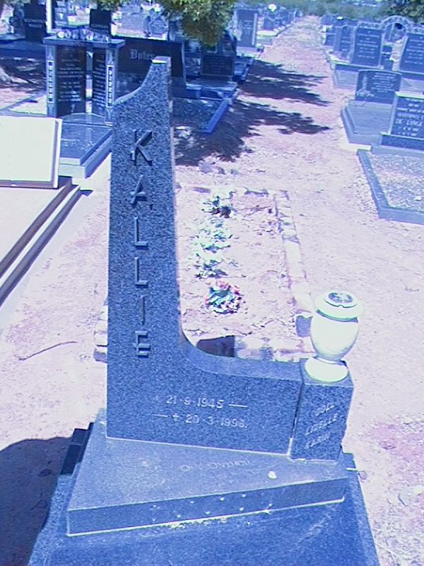 ? Kallie 1945-1998
