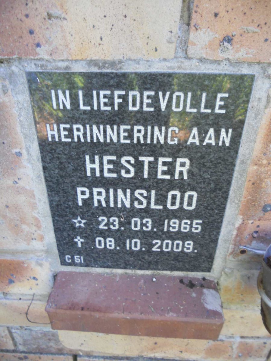 PRINSLOO Hester 1965-2009
