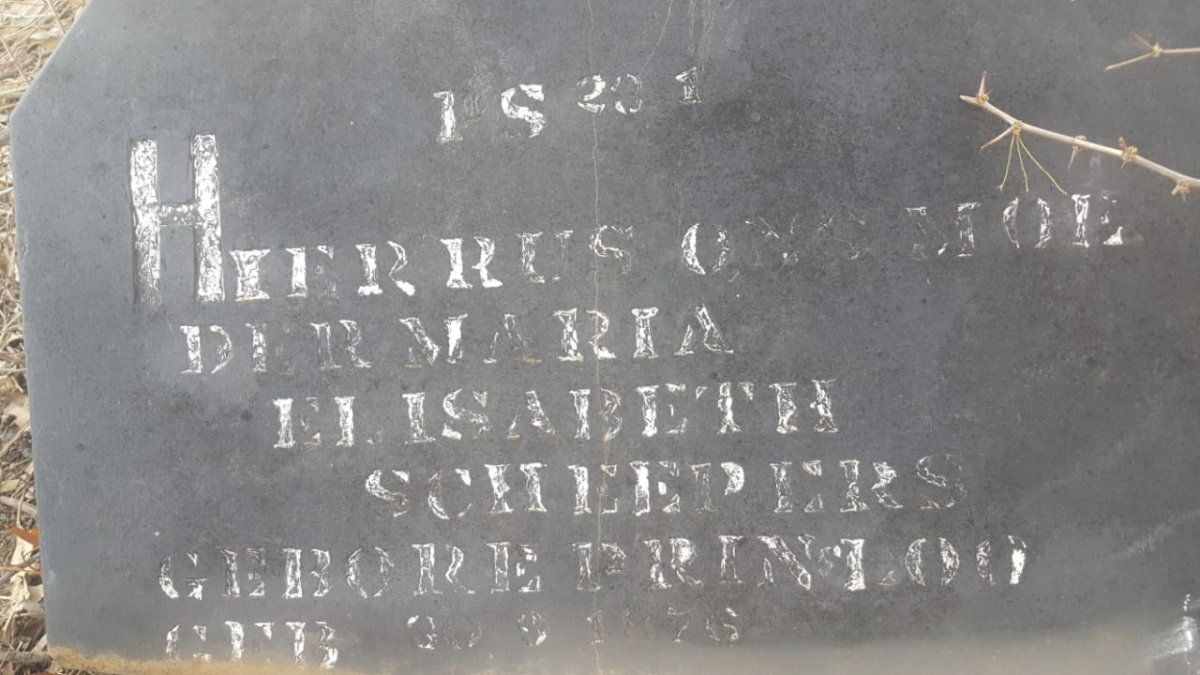 SCHEEPERS Maria Elisabeth nee PRINSLOO 1876-