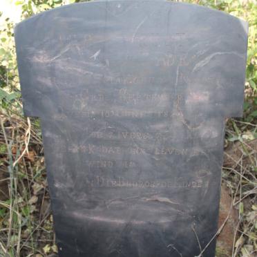 MOSTERT Philippus Jakobus 1822-1878