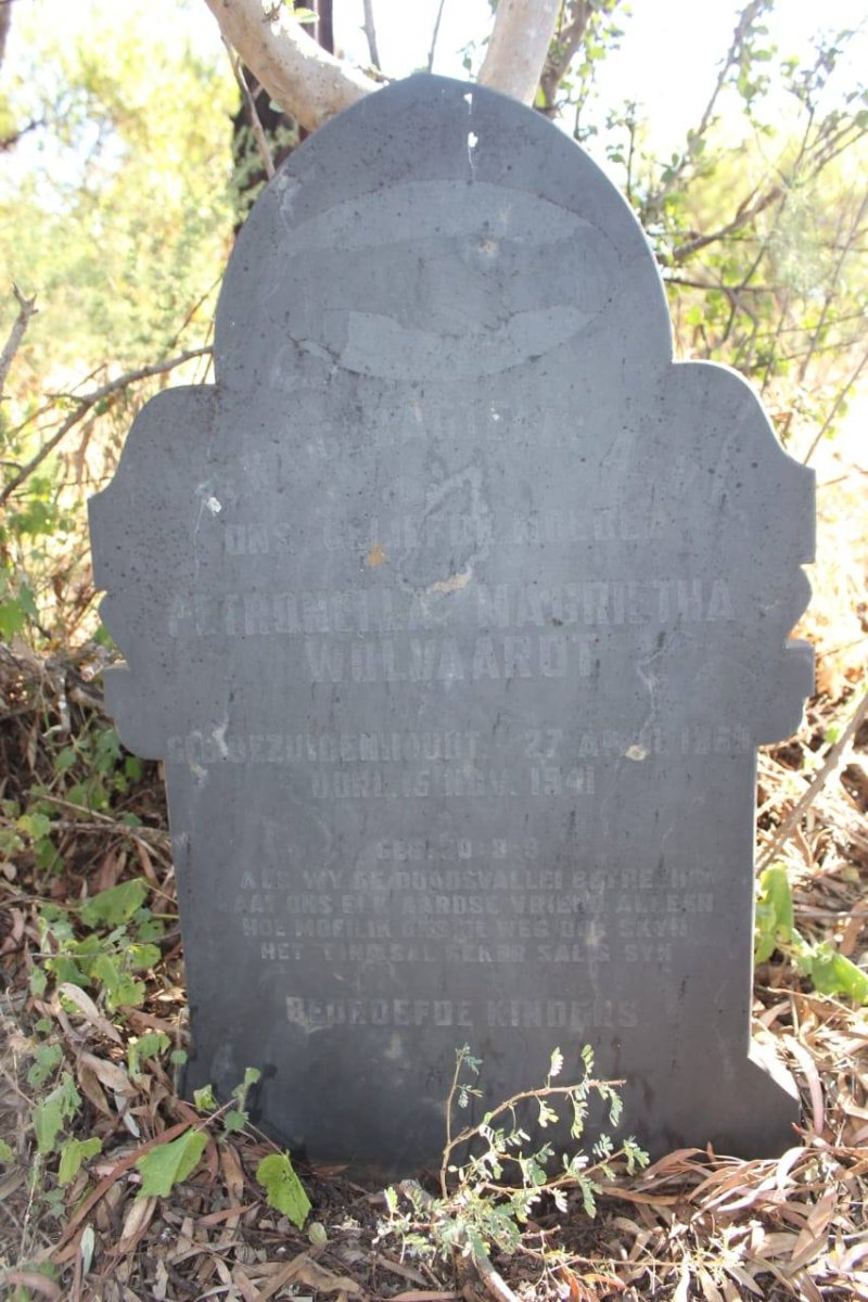 WOLVAARDT Petronella Magrietha nee BEZUIDENHOUDT 1869-1941