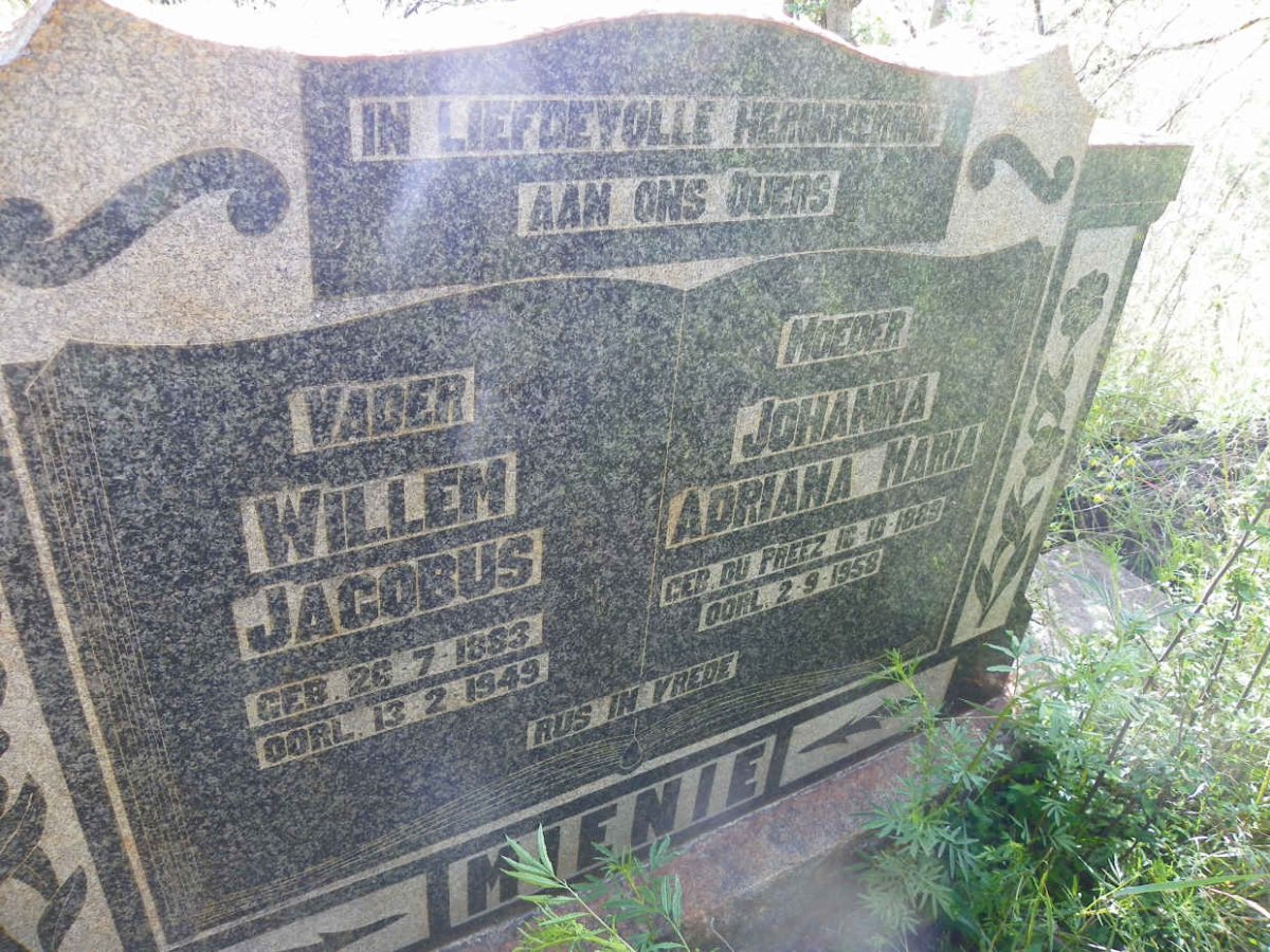 MIENIE Willem Jacobus 1883-1949 &amp; Johanna Adriana Maria DU PREEZ 1889-1958