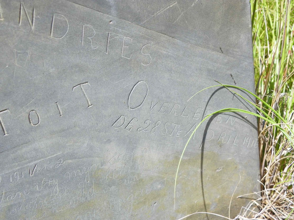 TOIT Cornelius Andries, du 1914-1916