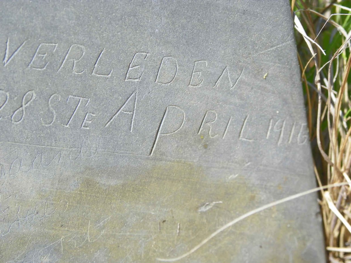 TOIT Cornelius Andries, du 1914-1916