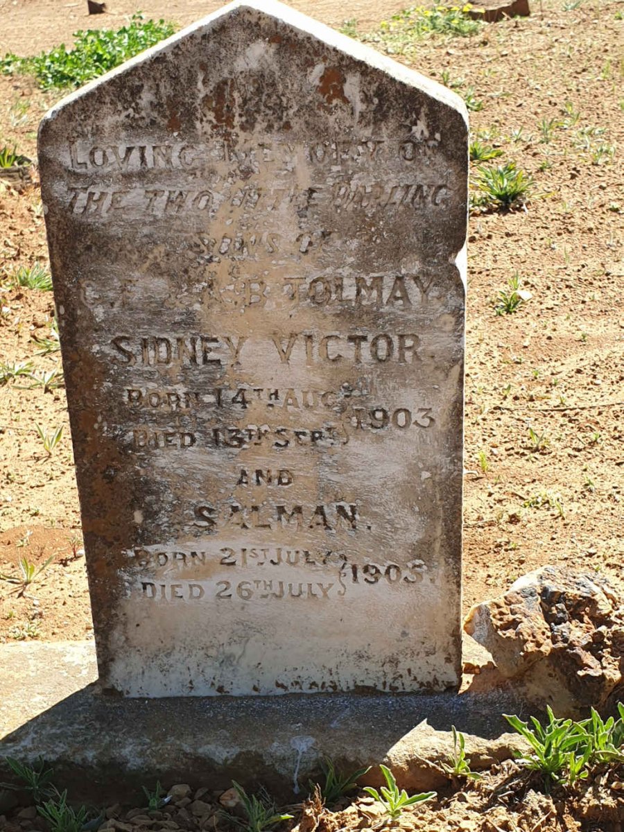 TOLMAY Sidney Victor 1903-1903 :: TOLMAY Salman 1905-1905