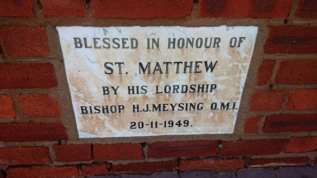 3. Plaque