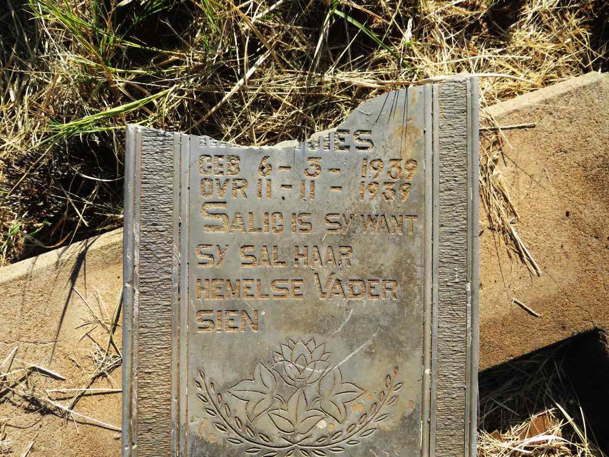 ?IES 1939-1939