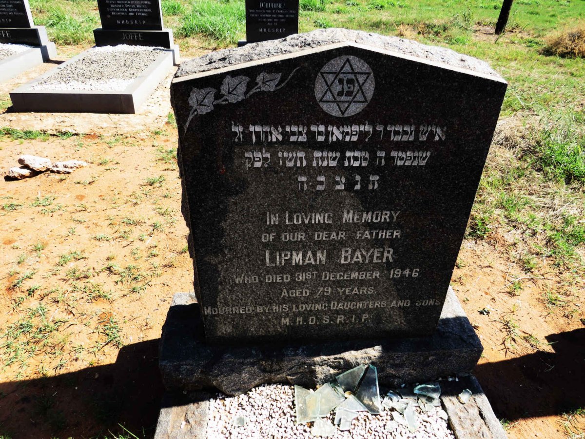 BAYER Lipman -1946