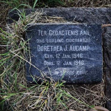 AUCAMP Dorethea J. 1946-1946
