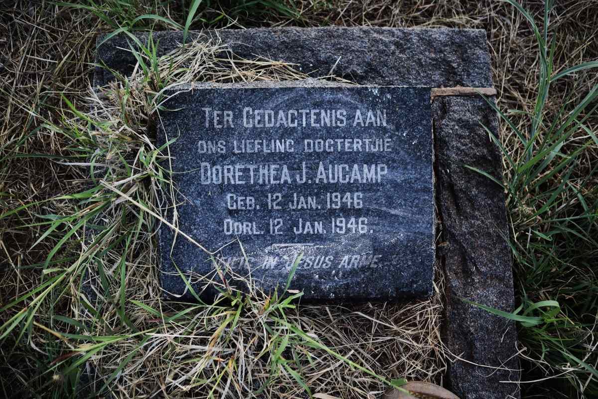 AUCAMP Dorethea J. 1946-1946