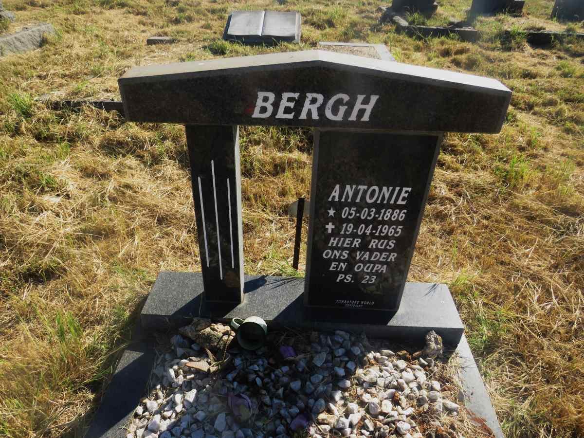 BERGH Antonie 1886-1965