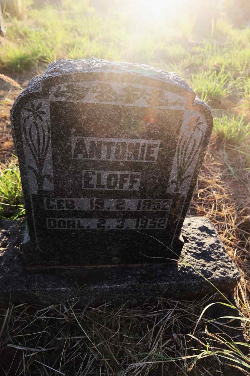 ELOFF Antonie 1952-1952