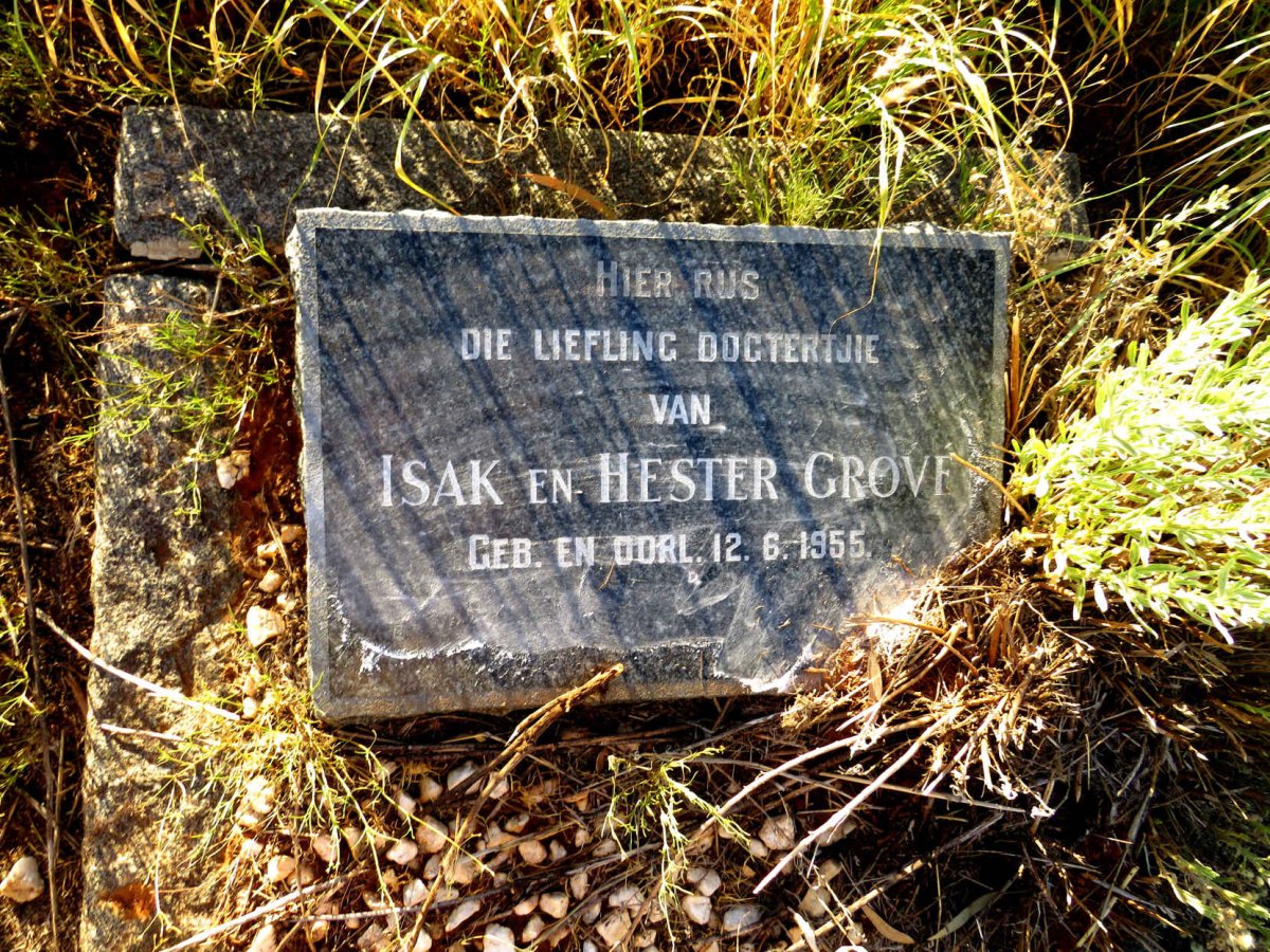 GROVE Isak 1955-1955 :: GROVE Hester 1955-1955