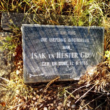 GROVE Isak 1955-1955 :: GROVE Hester 1955-1955