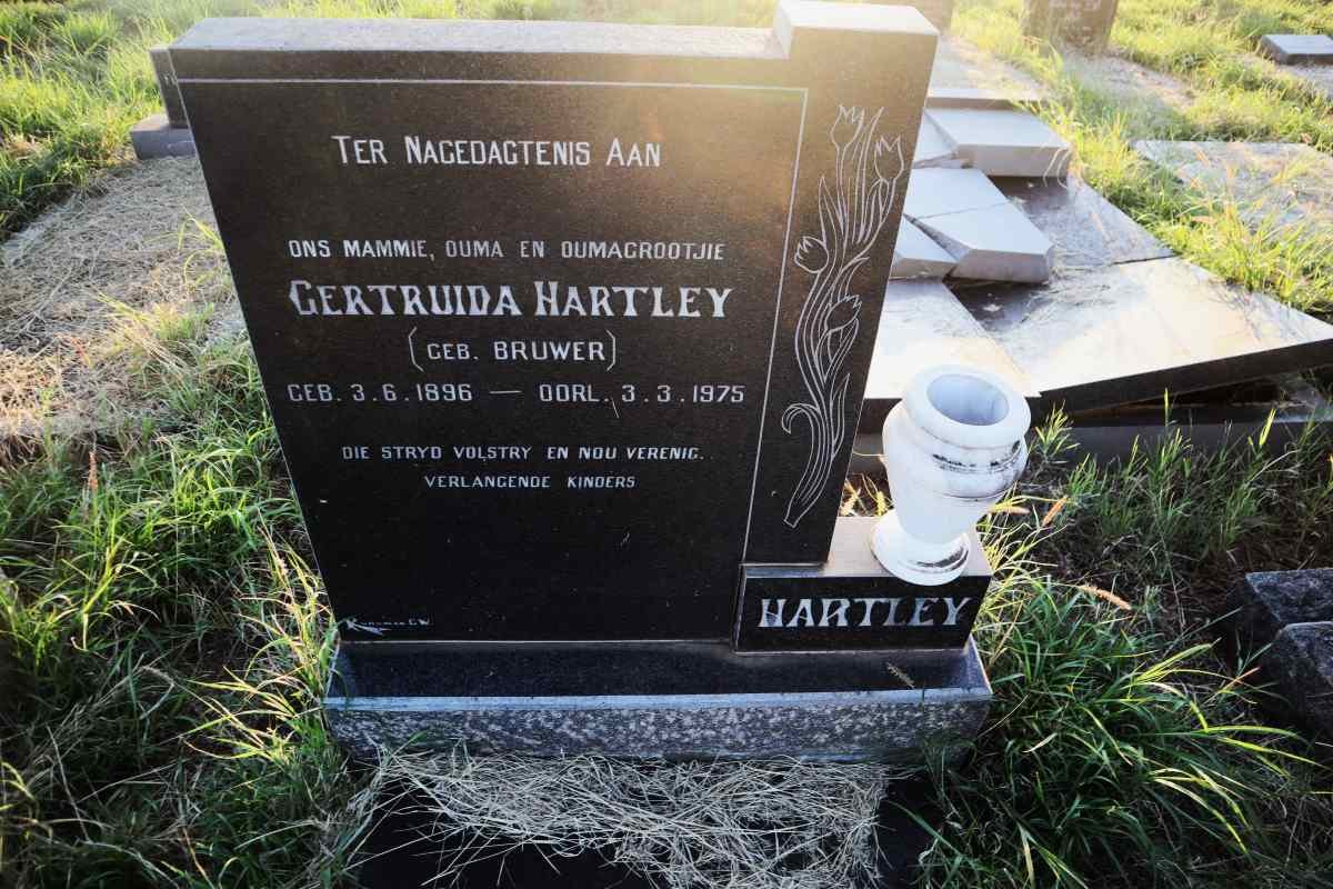 HARTLEY Gertruida nee BRUWER 1896-1975