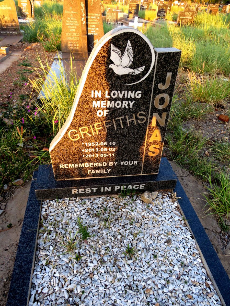 JONAS Griffiths 1952-2013