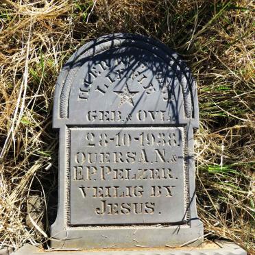 PELZER 1938-1938