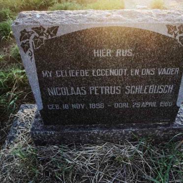 SCHLEBUSCH Nicolaas Petrus 1896-1960