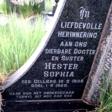 STEYN Johannes Hendrik 1936-1965 & Hester Sophia CELLIERS 1938-1965 :: STEYN Pieter Jacobus 1961-1965_3