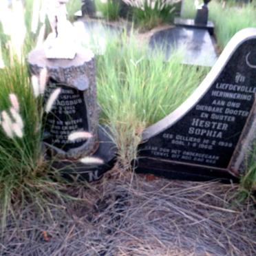 STEYN Johannes Hendrik 1936-1965 & Hester Sophia CELLIERS 1938-1965 :: STEYN Pieter Jacobus 1961-1965_1