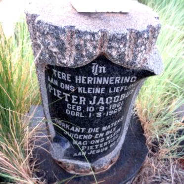 STEYN Johannes Hendrik 1936-1965 & Hester Sophia CELLIERS 1938-1965 :: STEYN Pieter Jacobus 1961-1965_4