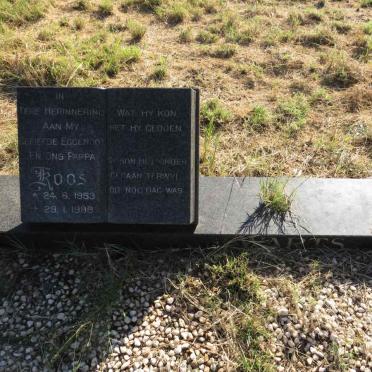SWARTS Koos 1953-1988