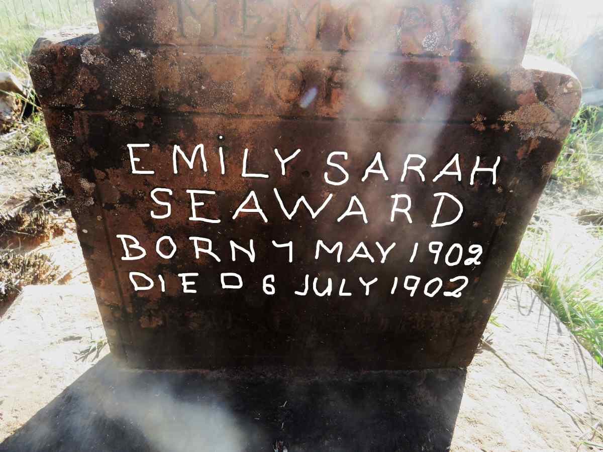 SEAWARD Emily Sarah 1902-1902
