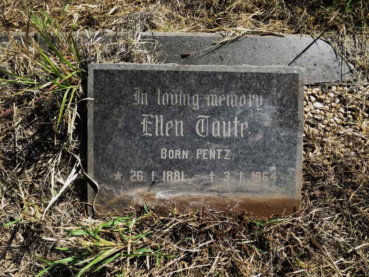 TAUTE Ellen nee PENTZ 1881-1964