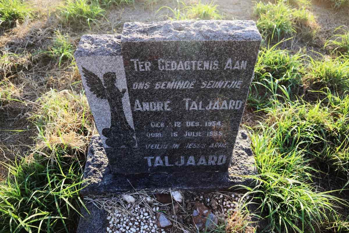 TALJAARD Andre 1954-1955