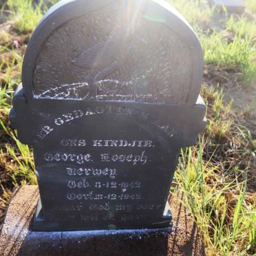 VERWEY George Joseph 1942-1942