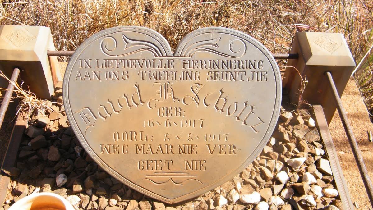 SCHOLTZ David H. 1917-1917
