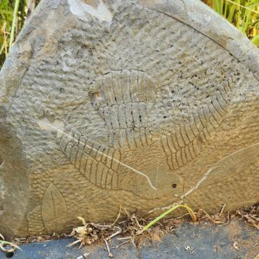 North West, VENTERSDORP district, Kaalfontein 212_1, farm cemetery