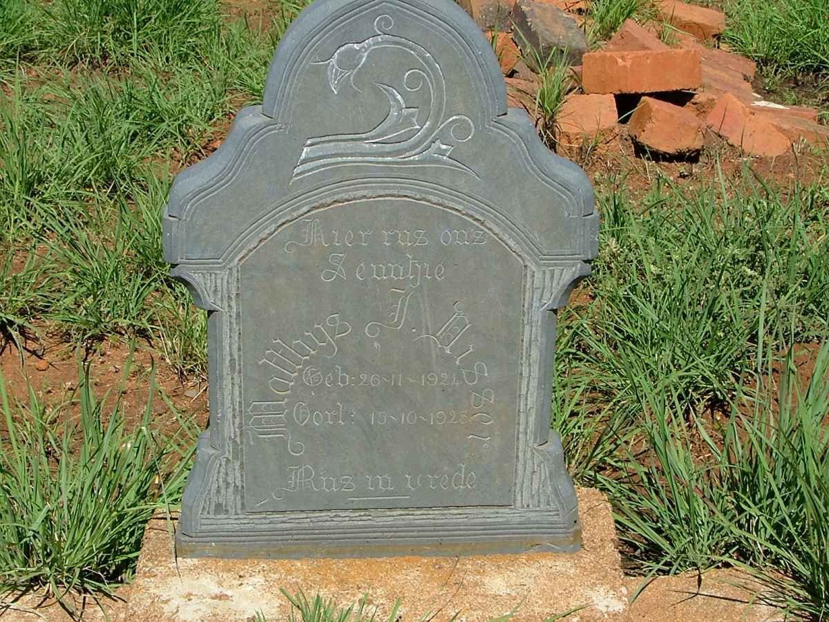 DISSEL Matthys J. 1924-1925