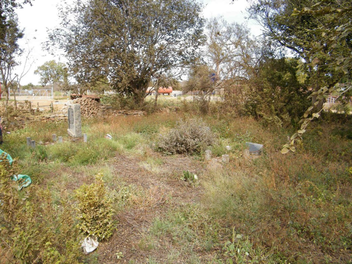 1. Overview